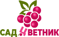 My site
